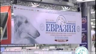 Презентационный Ролик Международной Выставки Евразия