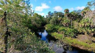 Preserve Florida's Wetlands