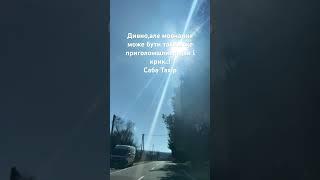 Брехня завжди продається краще за правду..!@Shorts #семья#motivation#relax#music#avtomobile#love#