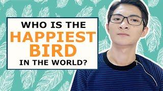 THE HAPPIEST BIRD IN THE WORLD | Loài Chim Đẹp Nhất Trên Đời