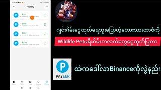 Wildlife petဂိမ်းကလက်တွေ့ငွေထုတ်ပြတာ တာဇံကို