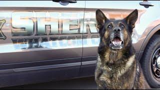 WCSO K-9 JAG RETIRES