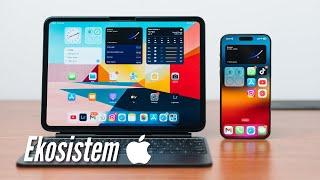 iPhone dan iPad bisa apa? - Ekosistem Apple 2025