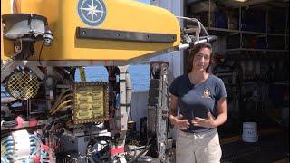 ROV Pilot Career Profile | Nautilus Live