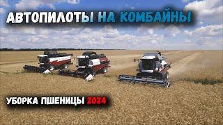 УБОРКА ОЗИМОЙ ПШЕНИЦЫ 2024. АВТОПИЛОТЫ НА ВСЕ КОМБАЙНЫ