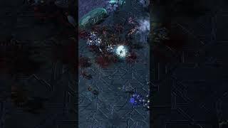 가시지옥 vs 프로토스 #starcraft