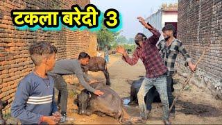 टकला बरेदी भाग 3 || Bundeli Comedy || Takla || Halle bhaiya