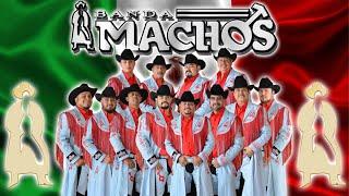 Banda Machos Corridos y Rancheras Banda Machos 30 Grandes Exitos mix 2025