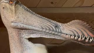 Unusual amazing animals reptiles Noah's Ark Christian theme park Genesis flood Bible Kentucky 13335