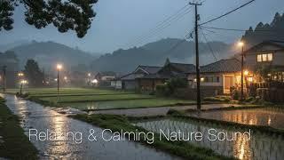 Calming & Relaxing Night Rain and Nature Sound - 1hour #calm #nature #relaxing #healing