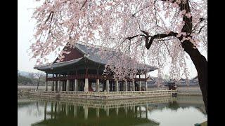명상음악과 함께 하는 한국의 봄, 여름, 가을, 겨울 - 힐링, 스트레스 해소, 긴장 이완, 템플스테이 음악, 치유 음악 #명상음악 #계절 #봄 #여름 #가을 #겨울 #힐링