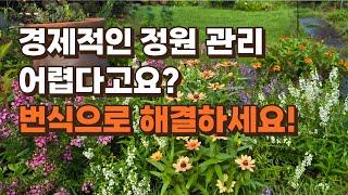 경제적인 정원 관리를 위한 식물 번식 방법 4가지