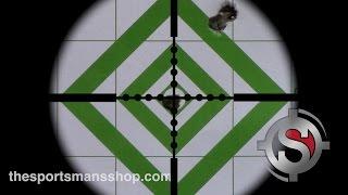 3 Shot Rifle Sight In - 25 Yards