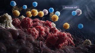 Intervoke Medical Animation Reel