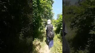 Идём на подворье монастыря. Песнь Богородице.