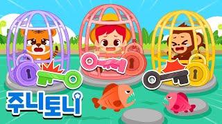 열쇠를 찾아서 갇혀있는 동물들을 구해주세요! | 최신인기동요 | 동요연속재생 | 주니토니 | JunyTony