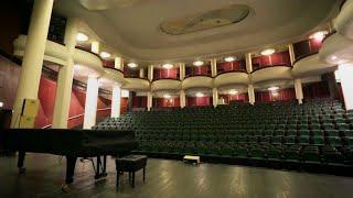 The Effects of COVID-19 Lockdown 1.0 on Performing Arts Professionals