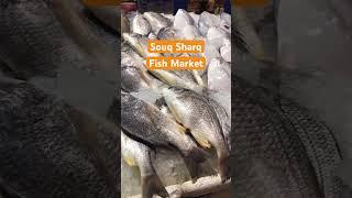 Souq Sharq.                                         #fish #market #kuwait #souqsharq