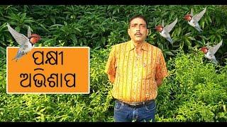 ପକ୍ଷୀ ଅଭିଶାପ / Odia Motivational story /Odisha Gapa/ Odisha Tree Awareness