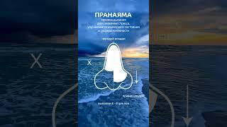 Дыхание для гармонизации энергий. Будьте здоровы Занятия по йоге на канале #йога