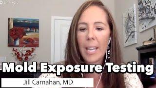 Mold Testing & Mold Toxins by Dr. Jill Carnahan