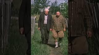 ВАЛЕТ?! ВОТ, БЕЗДЕЛЬНИК!.. | Белые росы
