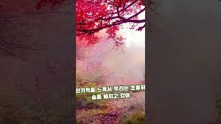 30초 공포이야기