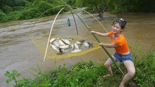 Harvesting Fish in flood season and cooking - Smart girl uses net to catch fish - Duong bushcraft