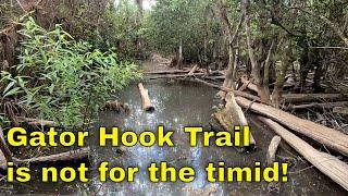 Exploring Florida's Big Cypress National Preserve