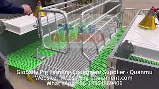 Pig Farming Farrowing crate