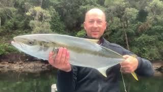 2022 The Hawkesbury River, Search for Jewfish (Cowan Creek)