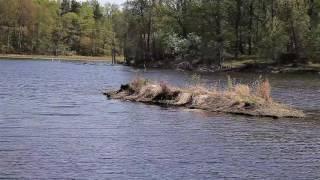 Rosenkällasjön Tinnerö Eklandskap 11 maj 2016