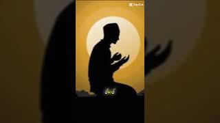 Allah ko Razi kar lu yehi sub se bari kamyabi hai insan ki #share #duaa