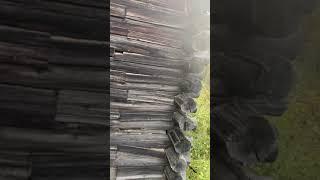 Abandoned Cabin window #explore #oregon #abandoned  ￼