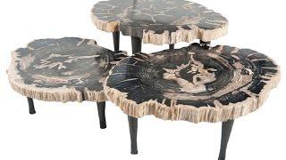 Unique Petrified Wood Side Table