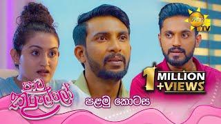 Paata Kurullo - පාට කුරුල්ලෝ | පළමු කොටස | Episode 01 | 2024-05-10 | Hiru TV