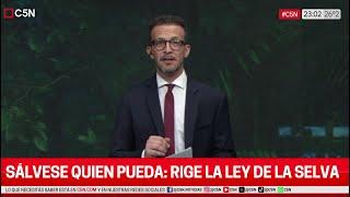 El EDITORIAL de ALEJANDRO BERCOVICH en LA LEY DE LA SELVA - 23/12/24