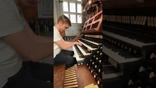 Toccata in d minor by J. S. Bach  #organ #music #church