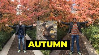 SPANISH LISTENING PRACTICE:  Autumn - Otoño 