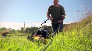 Cub Cadet Wheeled String Trimmer