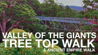 Valley of the Giants Tree Top Walk | Walpole, Western Australia