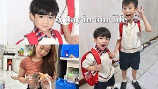 A DAY IN OUR LIFE: FIRST DAY OF SCHOOL, WHITENING SUPPLEMENTS, NEW ADOPTED CATS