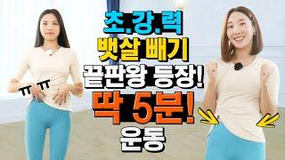 뒤룩뒤룩 뱃살도 살~살~ 녹는 초!강!력! 5분 운동!!