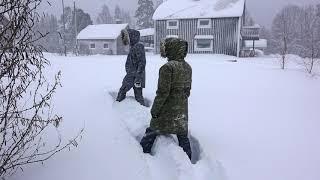 Lebensabenteurer arktischer Winter Englisch