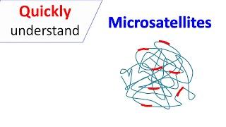 Microsatellites