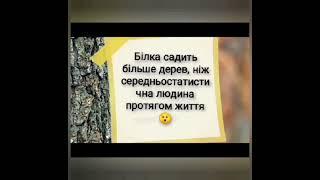 Драйвовий липень