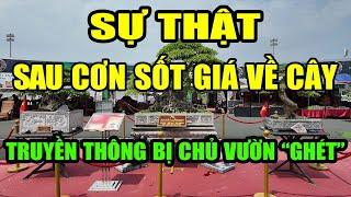 Sự thật đằng sau việc một số nhà vườn "tránh truyền thông" sau cơn sốt cây