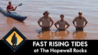 Fast Rising Tide at The Hopewell Rocks