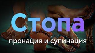 стопа - пронация и супинация. стопа, лодыжка, колено, бедро...