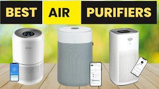 Top 5 Best Air Purifiers On Amazon 2024 - From Clorox, BLUEAIR, LEVOIT, Nuwave, Germ Guardian